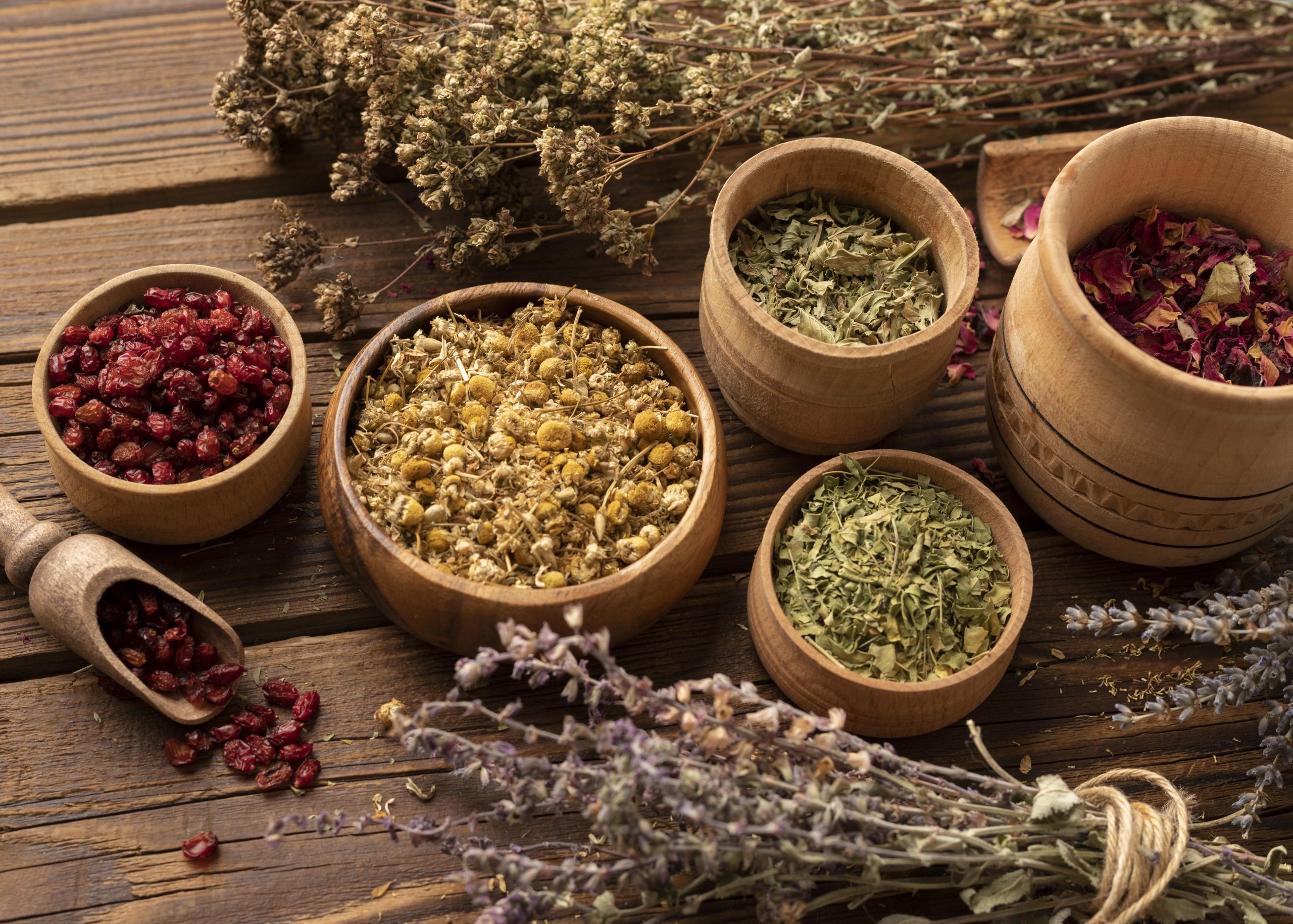 arrangement natural various herbs high view